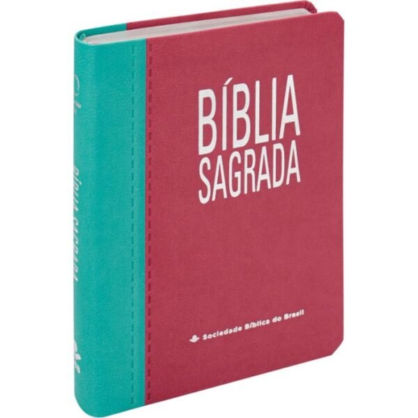 Bíblia Sagrada RA065TILGI - GIGANTE PINK E TURQUESA