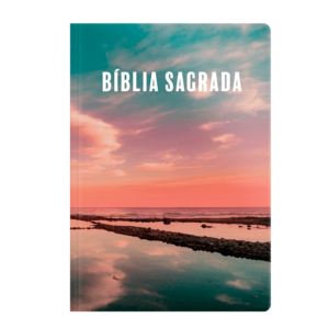 263.177 - BIBLIA RC EVANGELIZE LETRA GRANDE BROCHURA NEUTRA