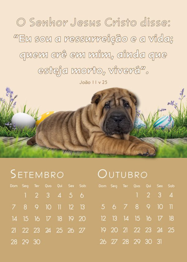 Calendário de Parede Infantil - 2025 - Image 6