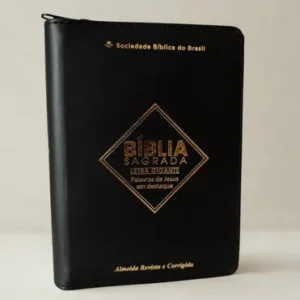 Bíblia Letra Gigante Portátil Preta - ARC045TILGIZLV
