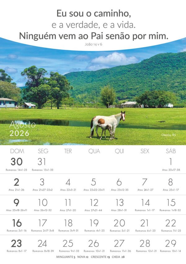 Calendários de Parede - Lugares Turísticos - 2026 - Imagem 2