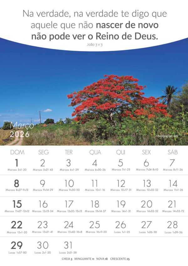 Calendários de Parede - Lugares Turísticos - 2026 - Imagem 9