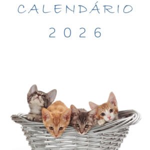Calendário de Parede Infantil - 2026