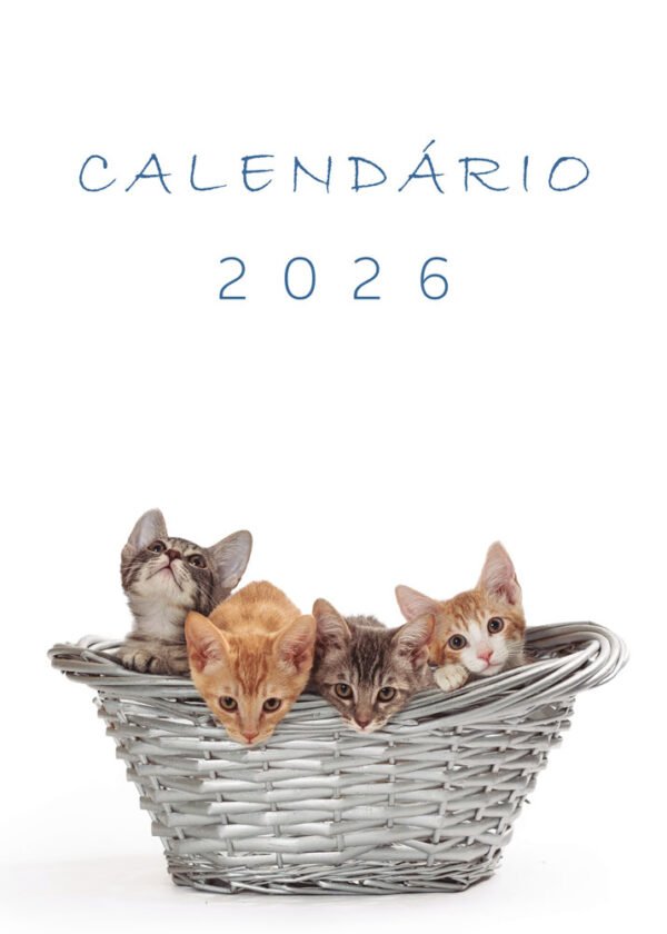 Calendário de Parede Infantil - 2026