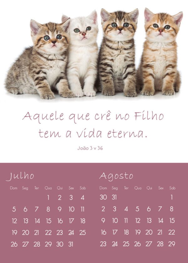 Calendário de Parede Infantil - 2026 - Imagem 3