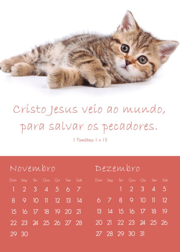 Calendário de Parede Infantil - 2026 - Imagem 5