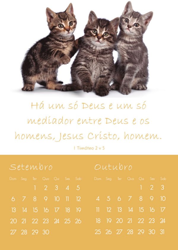Calendário de Parede Infantil - 2026 - Imagem 6