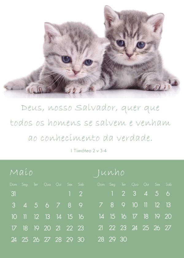 Calendário de Parede Infantil - 2026 - Imagem 7