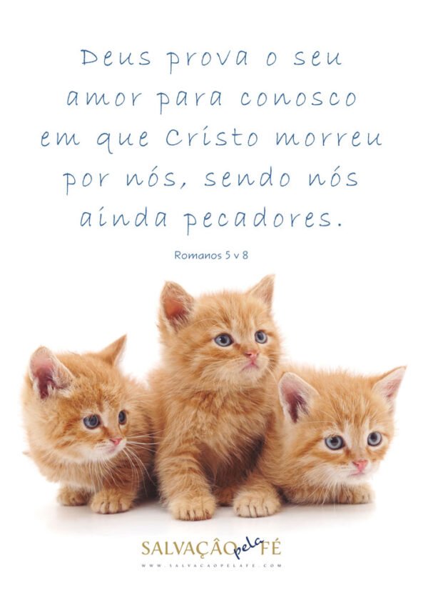 Calendário de Parede Infantil - 2026 - Imagem 8