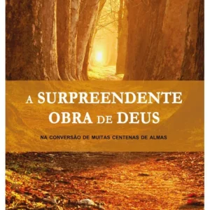 Surpreendente obra de Deus, A -
