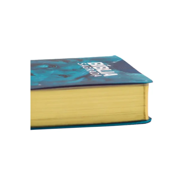 NA011 - BIBLIA DE BOLSO LEAO VERDE - Imagem 2